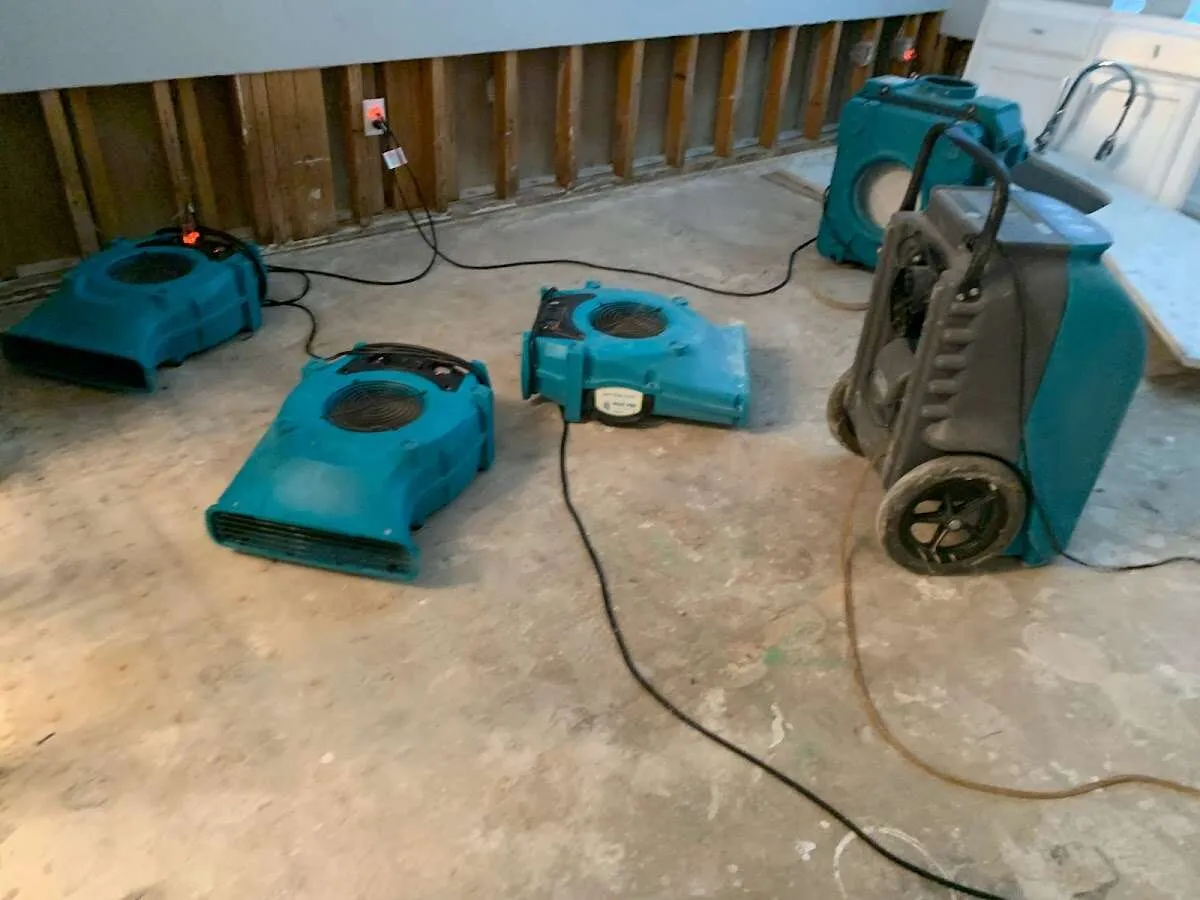 Burst Pipe Cleanup in Jamestown, MI